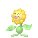 Sunflora placeholder card