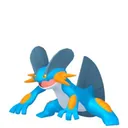 Swampert placeholder card