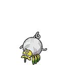 Tarountula placeholder card