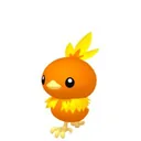 Torchic placeholder card