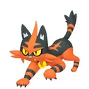 Torracat placeholder card