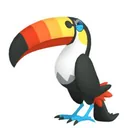 Toucannon placeholder card