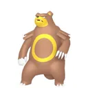 Ursaring placeholder card