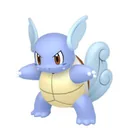 Wartortle placeholder card
