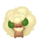 Whimsicott placeholder card