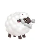 Wooloo placeholder card